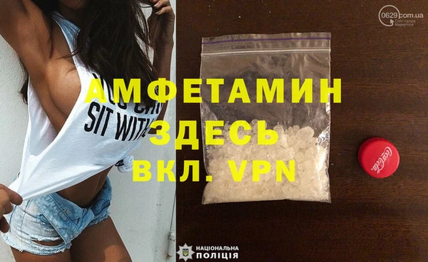 шишки Белокуриха