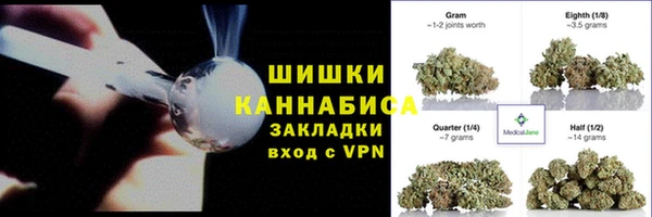 шишки Белокуриха