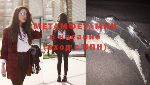 шишки Белокуриха