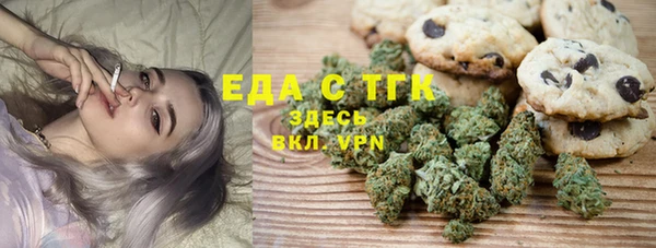 шишки Белокуриха