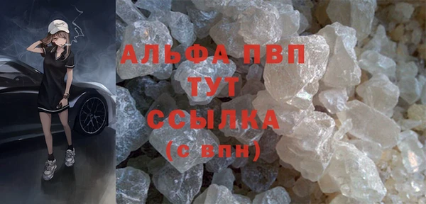шишки Белокуриха