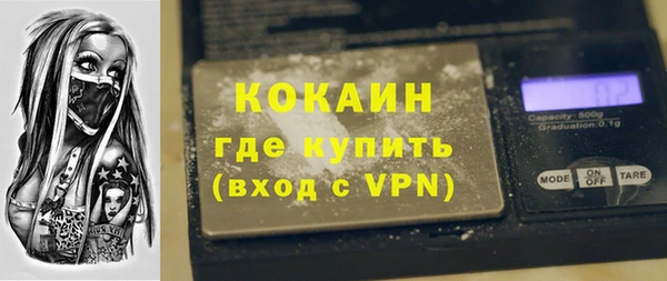 шишки Белокуриха